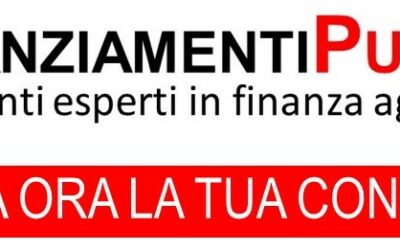 Il Comune di Bari stanzia 2.5 milioni di euro per sostenere  con fondo perduto fino a 40.000 euro la creazione di nuove attività imprenditoriali o imprese avviate in quartieri target.