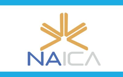 Naica – organismo di ricerca privato